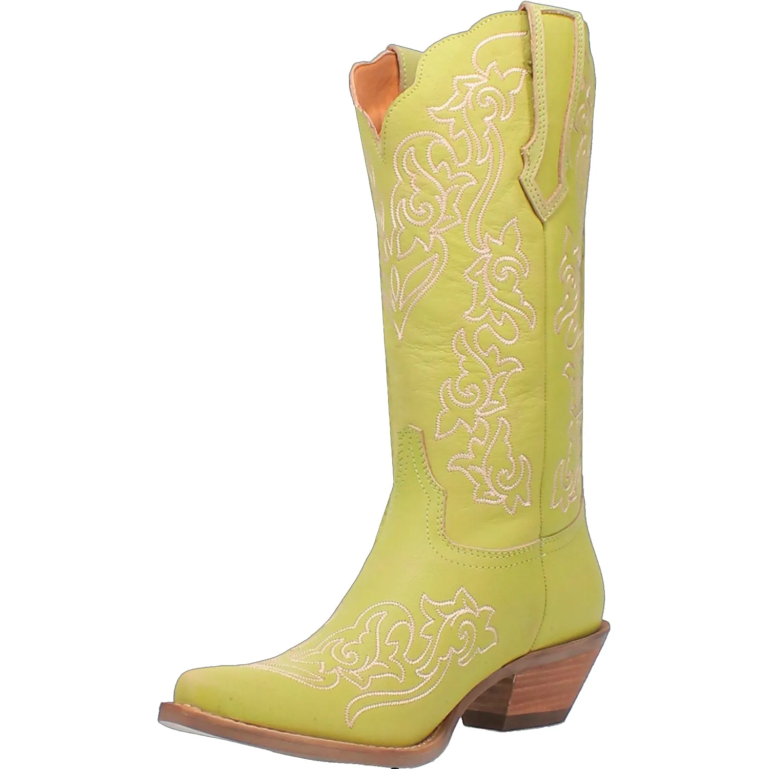 FLIRTY N' FUN LEATHER BOOT