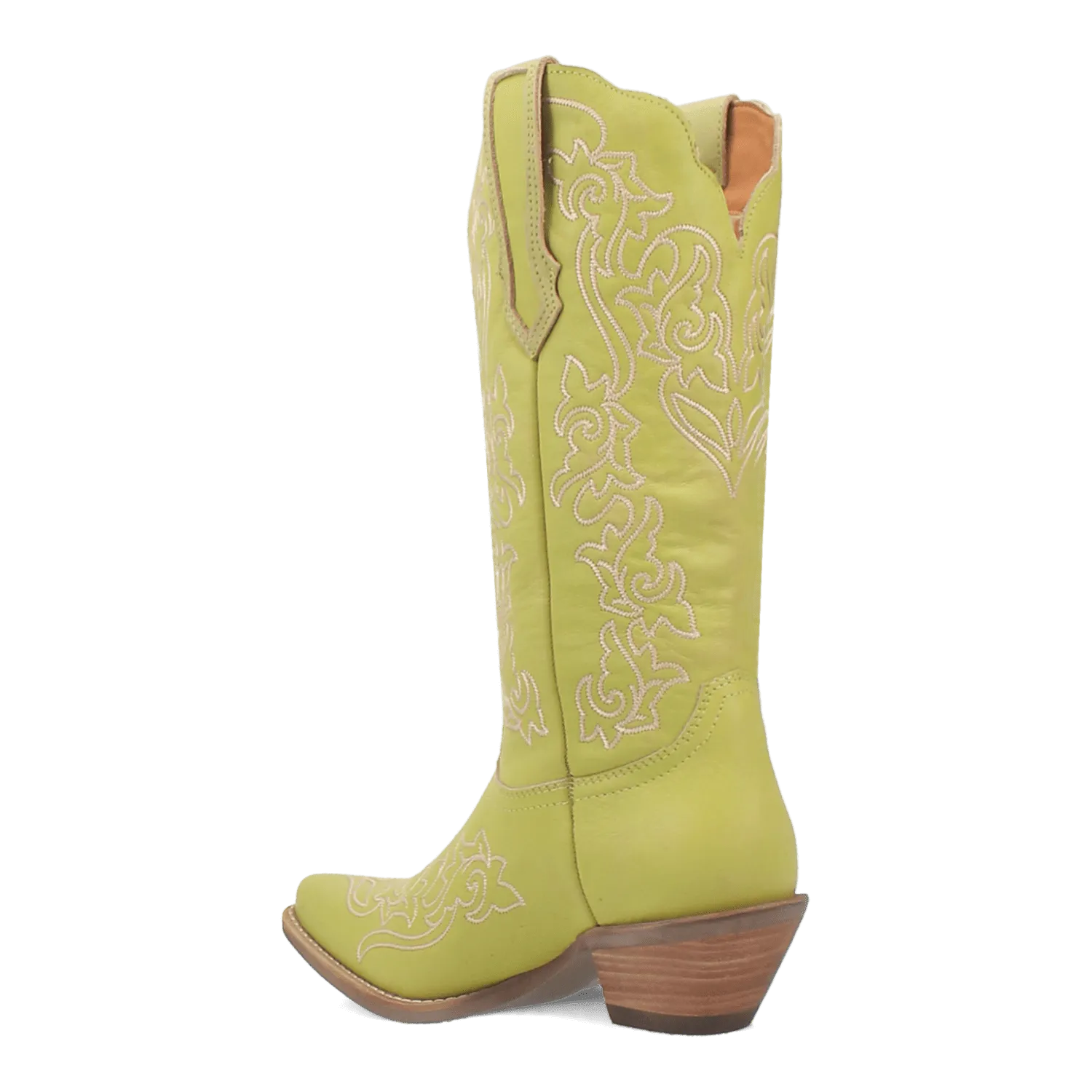 FLIRTY N' FUN LEATHER BOOT