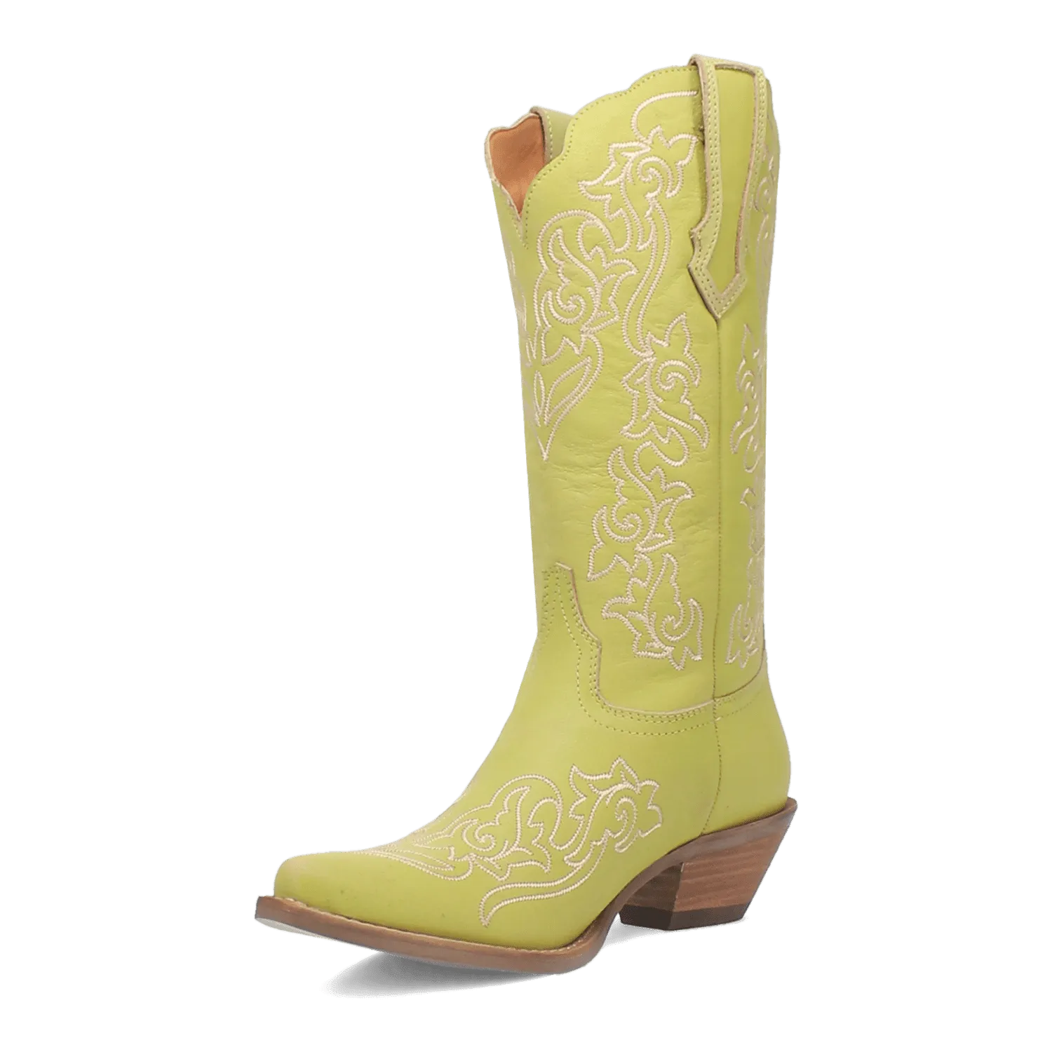 FLIRTY N' FUN LEATHER BOOT